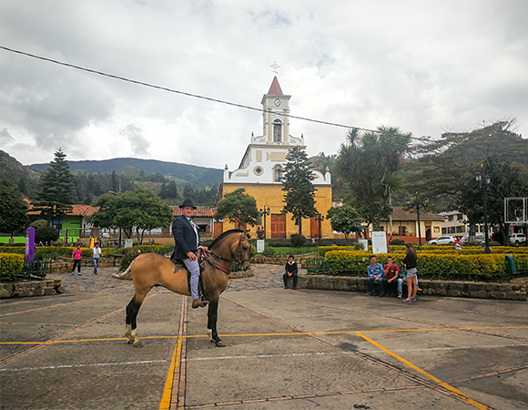 Pablo Quicazan BallesterosAlcalde de Guachetá