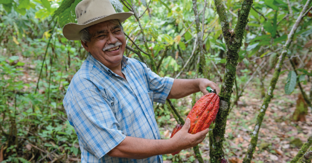 El PROCOMPITE es un proyecto que tiene como objetivo promover el crecimiento económico sostenible de las zonas rurales colombianas. Repsol en alianza con Socodevi y la Embajada de Canadá, fortalecieron estas 5 cadenas productivas en el departamento del Meta: Cacao, Café, Leche, Piscicultura y Patilla (Sandia).
