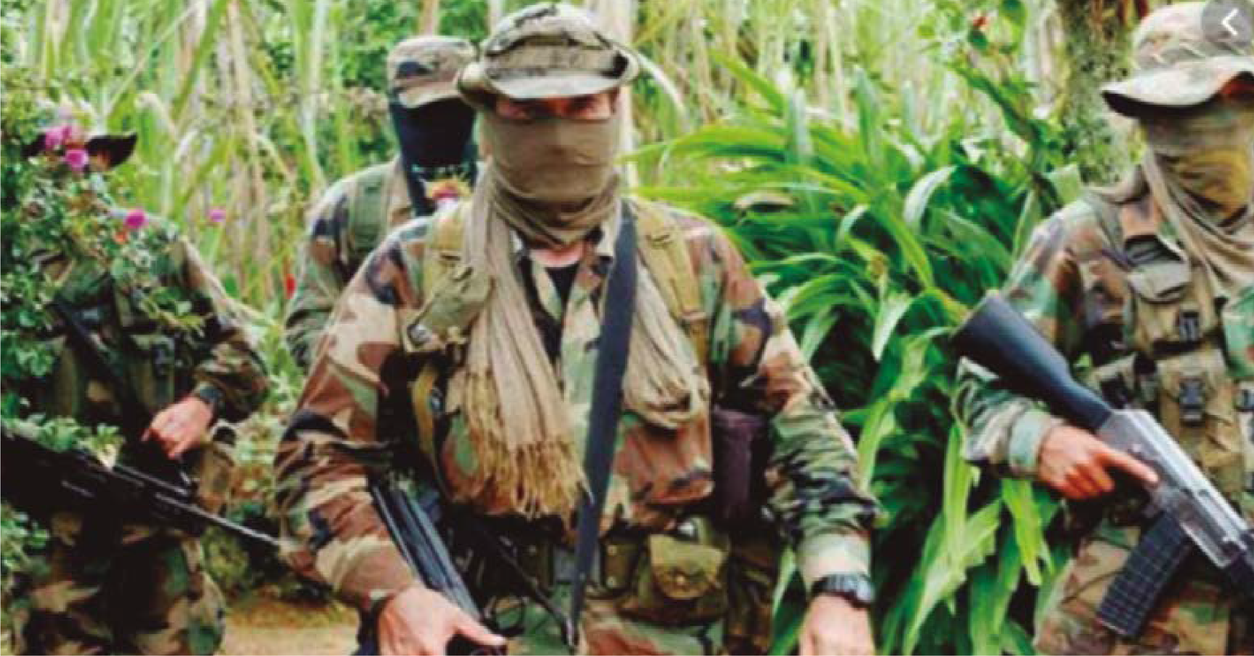 Frenar el avance de los grupos armados ilegales en los territorios, un desafío para el Estado colomb