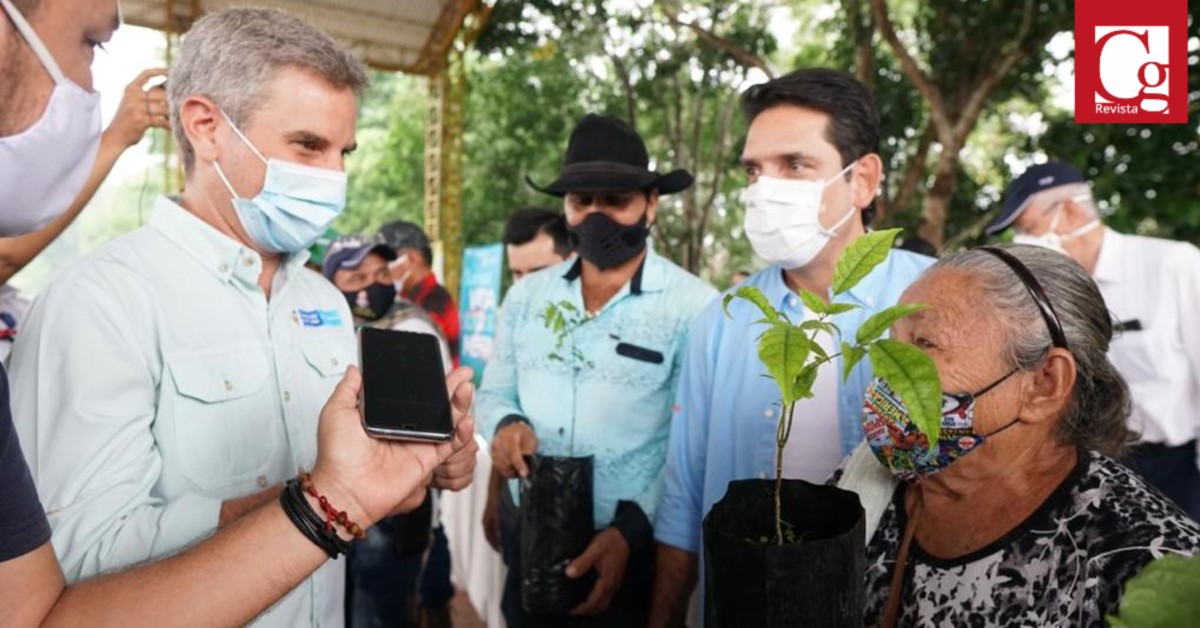 Minambiente busca detener la tala de árboles en el Meta