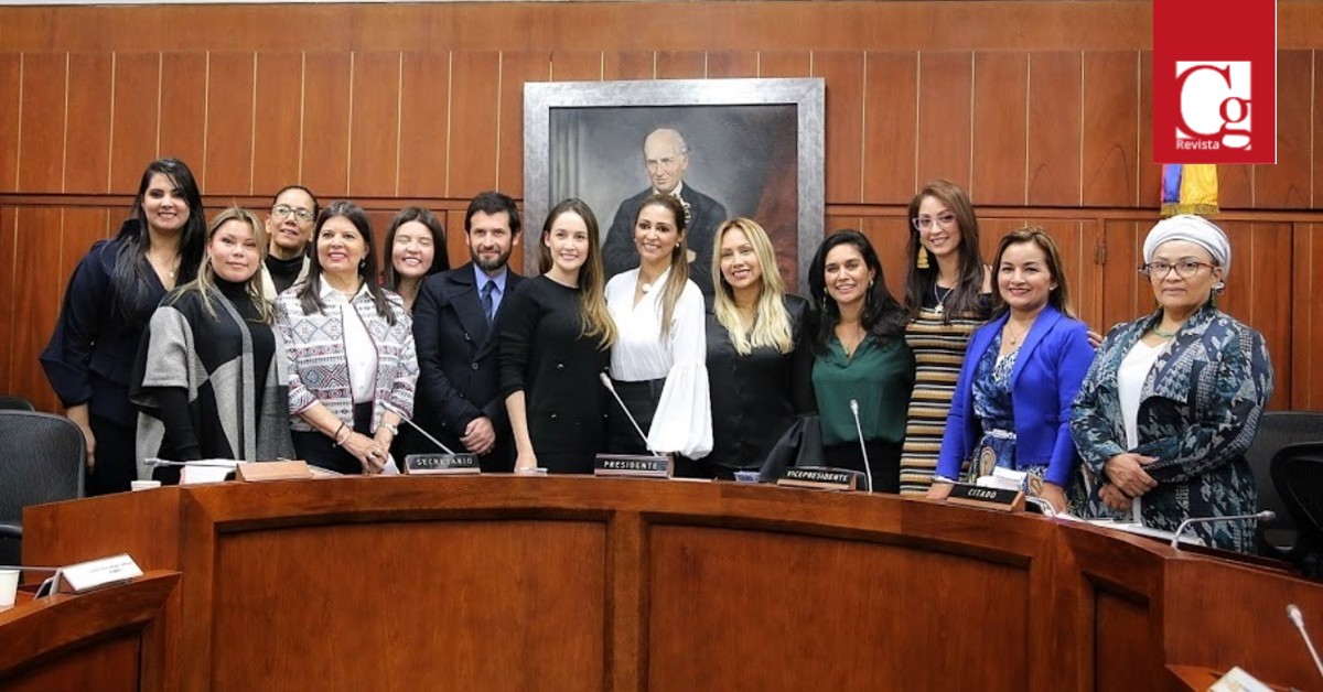Comisión Legal para la Equidad de la Mujer