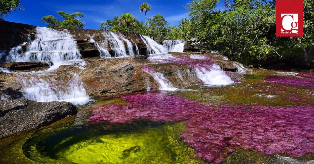Después de una larga espera, desde el pasado 8 de junio, Caño Cristales, denominado ‘El río de los siete colores’, abrió sus puertas al turismo nacional e internacional.