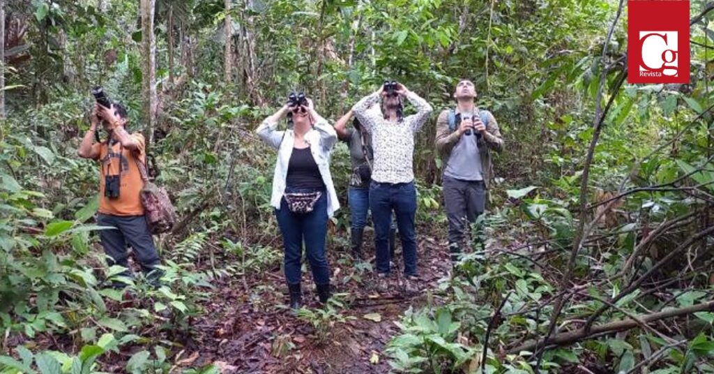 Durante el pasado 14 y el 15 de julio, Leticia se convirtió en escenario para la jornada de ciencia participativa BioBlitz, que permitió el avistamiento de aves y el reconocimiento de la riqueza natural del Amazonas colombiano.