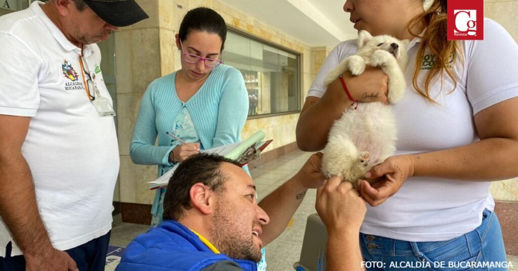 Los perros quedaron bajo la protección y el cuidado de la Unidad de Bienestar Animal de la Alcaldía de Bucaramanga.